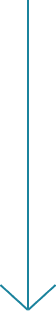 line-vertical-blue3 line-vertical-blue3